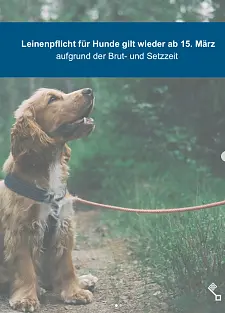 Leinenpflicht für Hunde ab 15. März 2026