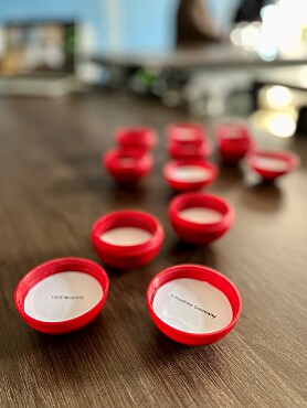 Die beiden gelosten Namen der Anbieter